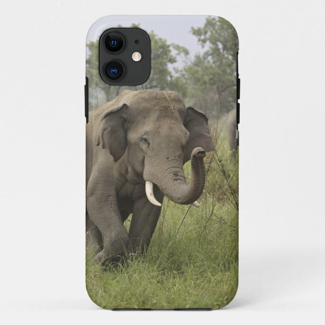 Indian Asian Elephant Gruß Case-Mate iPhone Hülle (Rückseite)