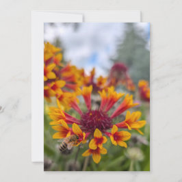 Indian Blanket & Bee Tongue Einladung