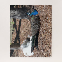 Indian Blue and White Pheasants jigsaw Puzzle