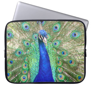 Indian Blue Peacock Laptopschutzhülle