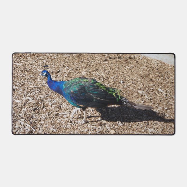 Indian Blue Peafowl deskmat (Vorderseite)