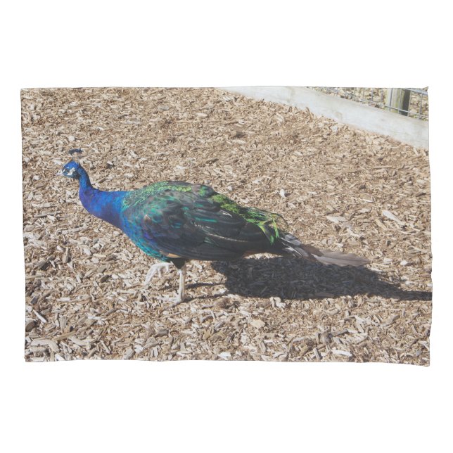 Indian Blue Peafowl pillowcase Kissenbezug (Vorderseite)
