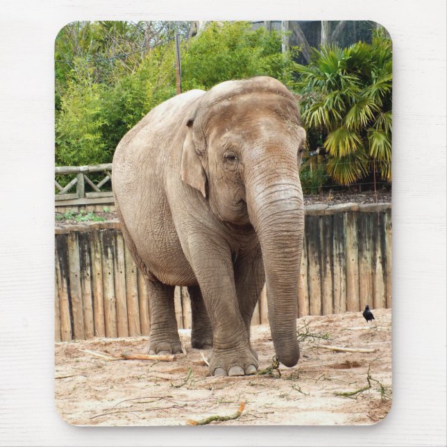 Indian Elephant Mousepad (Vorne)