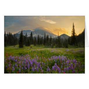 Indian Henrys Jagdgebiet bei Sonnenaufgang