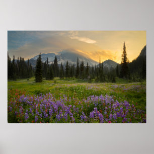 Indian Henrys Jagdrevier bei Sonnenaufgang Poster