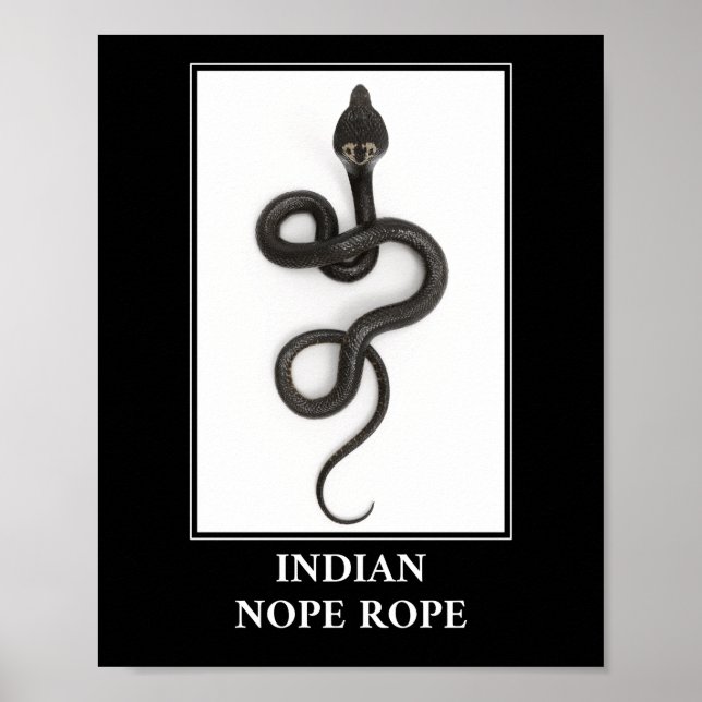 Indian Nope Rope - Cobra Snake Danger Poster (Vorne)