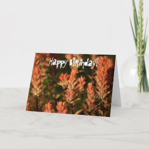 Indian Paintbrush; glücklich zum Geburtstag Karte