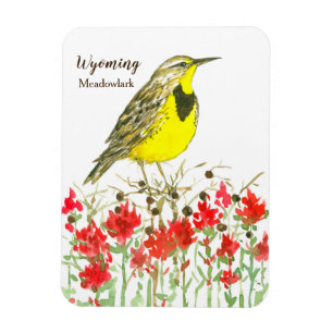 Indian Paintbrush Meadowlark Wyoming Magnet