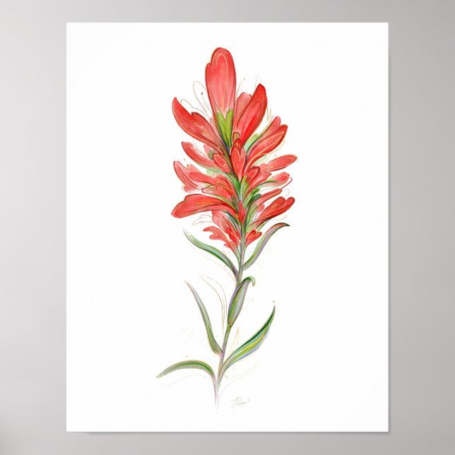Indian Paintbrush Rote Wildblume Art Poster (Vorne)