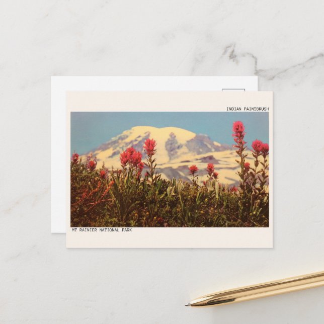 INDIAN PAINTBRUSH, The rainer National park gips Postkarte (Vorderseite/Rückseite Beispiel)