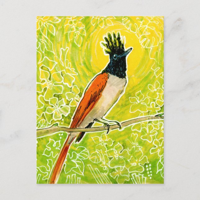 Indian Paradise Flycatcher Tropical Bird Zeichnend Postkarte (Vorderseite)
