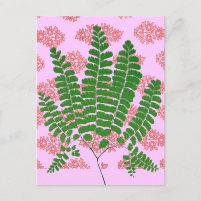 Indian Print Fern Pinks Postkarte (Vorderseite)