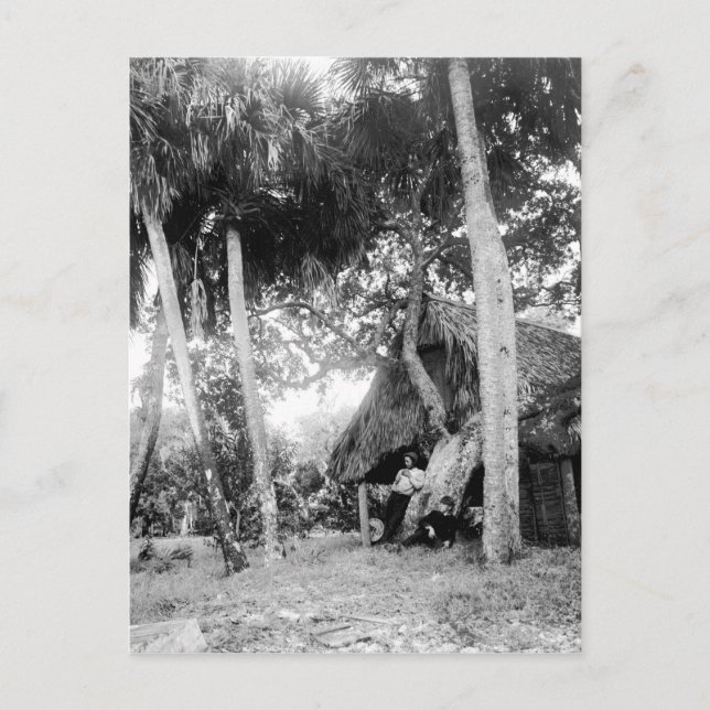 Indian River, Florida Erreichbarkeit: 1890er Postkarte (Vorderseite)