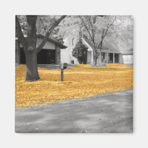 Indian Summer Golden Blätter Magnet