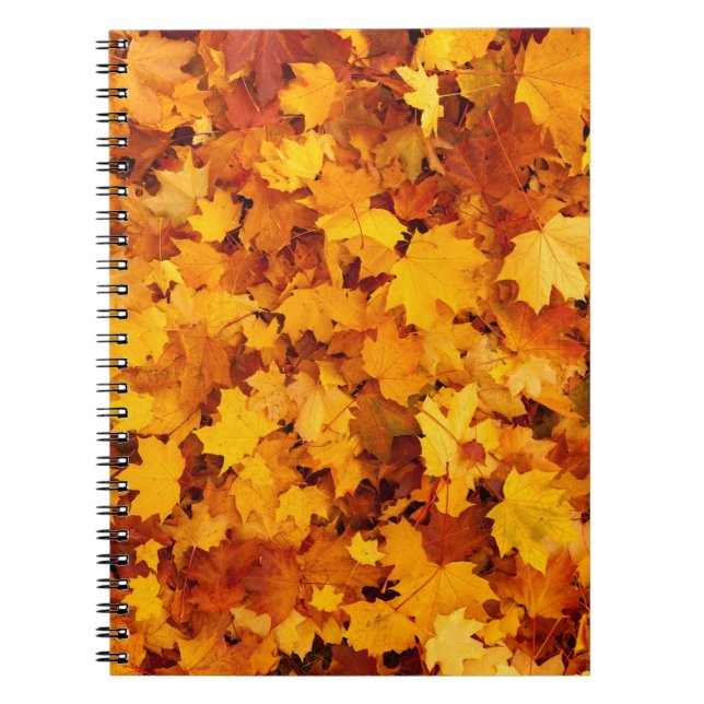 Indian Summer Golden Blätter Notizblock (Vorderseite)