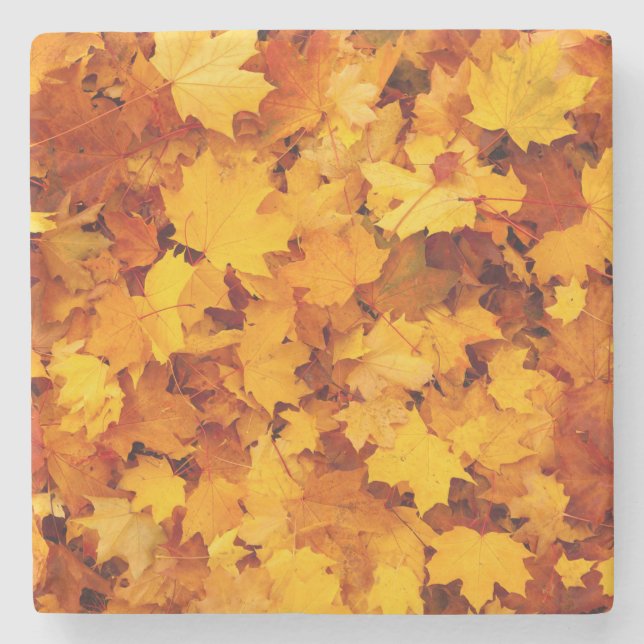 Indian Summer Golden Blätter Steinuntersetzer (Vorderseite)