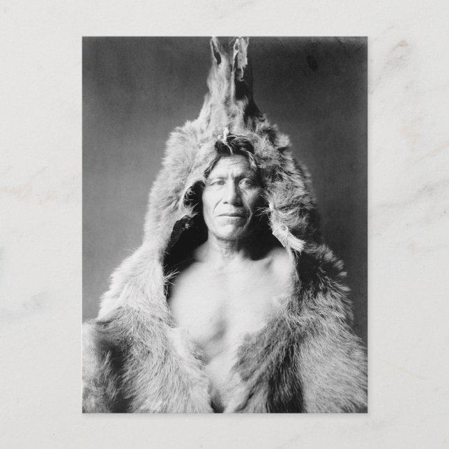 Indian Wearing Bearskin, 1908 Postkarte (Vorderseite)