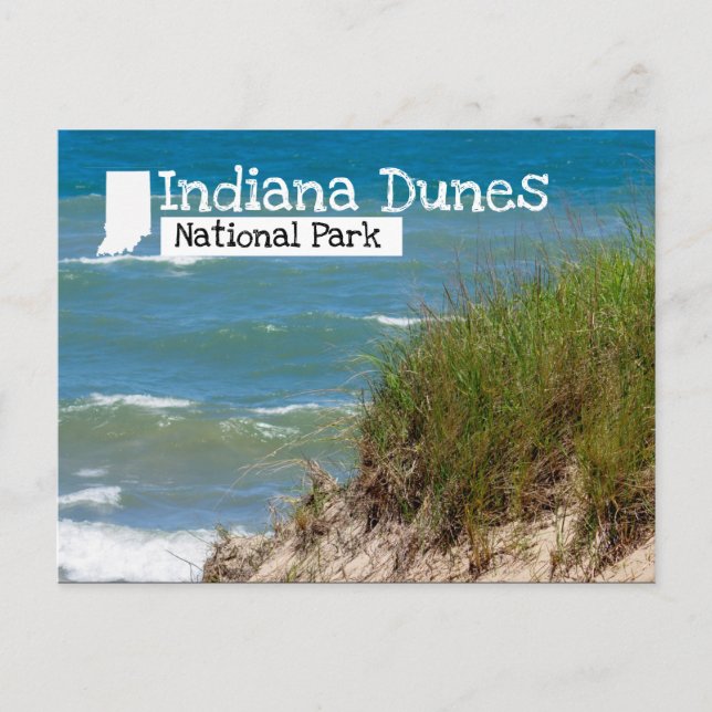 Indiana Dunes National Park Beach Düne Postkarte (Vorderseite)