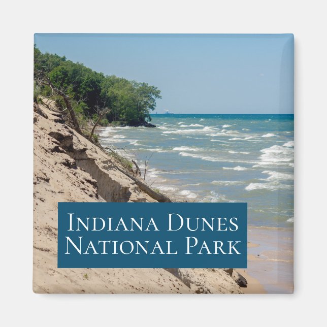 Indiana Dunes Nationalpark Urlaub Magnet (Vorne)
