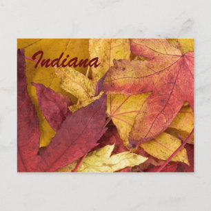 Indiana Herbstlaub Postkarte