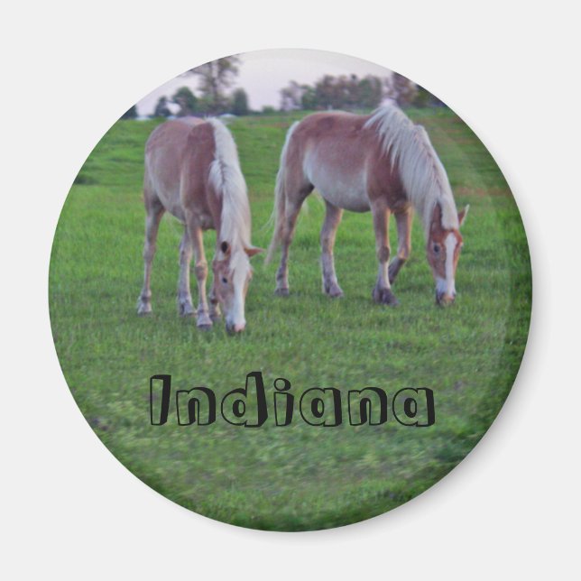 Indiana Pferde Magnet (Vorne)