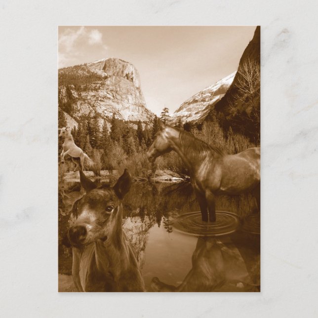 Indianer Postkarte (Vorderseite)