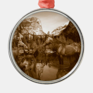 Indianer Silbernes Ornament