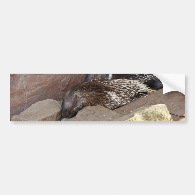 Indianerfisch Autoaufkleber (Vorne)
