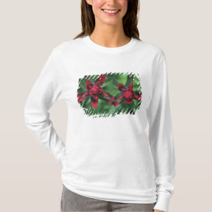 Indianerpinsel, Banff NP, Alberta, Kanada 2 T-Shirt