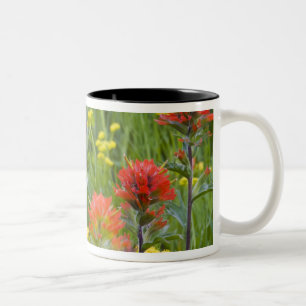 Indianerpinsel und Biscuitroot-Wildblumen Zweifarbige Tasse