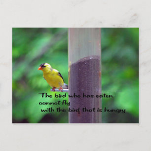 Indianersprichwort Postkarte