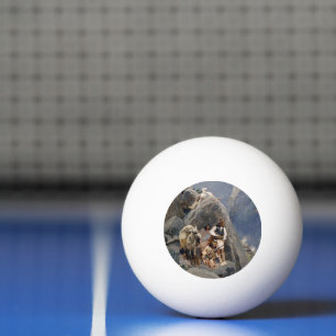 Indianische Ikonen: Apache-Krieger, US-Kavallerie Tischtennisball