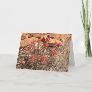 Indianische Pinselblumen-Blüten Karte