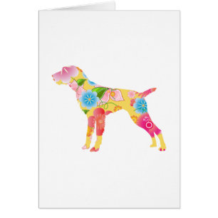 Indicateur à poils durs allemand