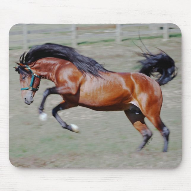 Indico VII heraus erreichend Mousepad (Vorne)