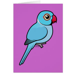 Indien bleu Ringneck