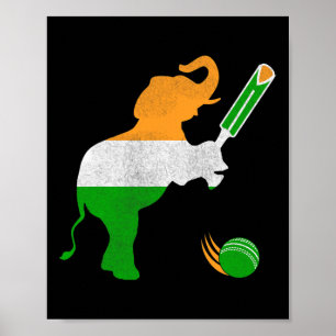 Indien Cricket 1 Poster