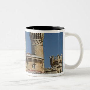 INDIEN, Karnataka, Bangalore: Bangalore-Palast Zweifarbige Tasse