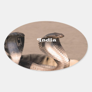 Indien-Kobra Ovaler Aufkleber