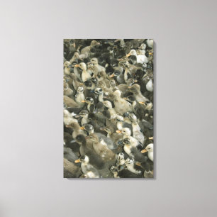 Indien Leinwanddruck