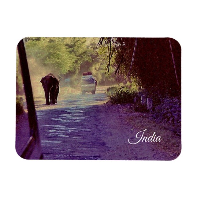 Indien Magnet (Horizontal)