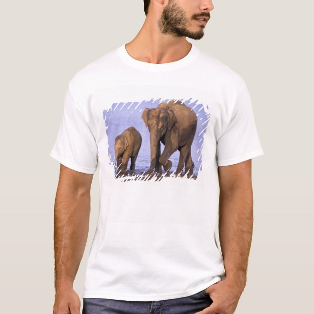 Indien, Nagarhole National Park. Asiatischer Elefa T-Shirt (Vorderseite)