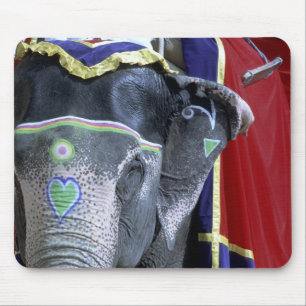 Indien, Rajasthan, Jaipur. Amber Fort. Mousepad