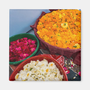 Indien, Rajasthan, Pipar Magnet