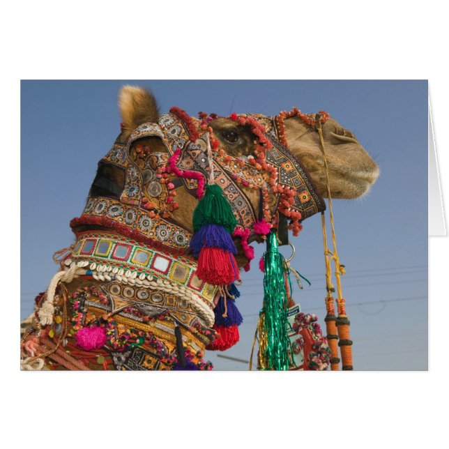 INDIEN, Rajasthan, Pushkar: PUSHKAR CAMEL FAIR, (Vorderseite (Horizontal))