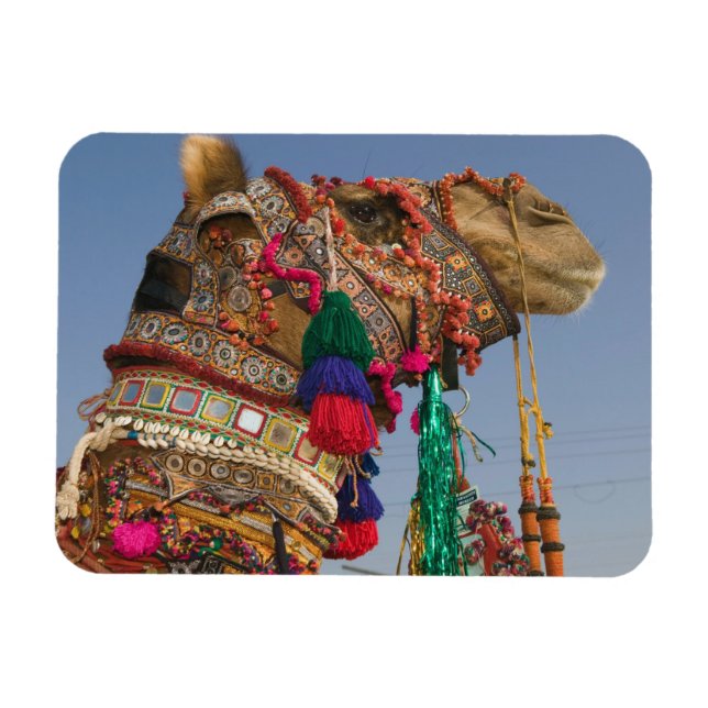 INDIEN, Rajasthan, Pushkar: PUSHKAR CAMEL FAIR, Magnet (Horizontal)