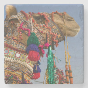 INDIEN, Rajasthan, Pushkar: PUSHKAR KAMELMESSEN, Steinuntersetzer