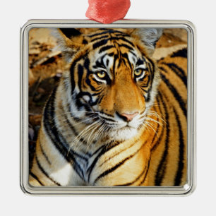 Indien, Sawai Madhopur, Ranthambore National Ornament Aus Metall