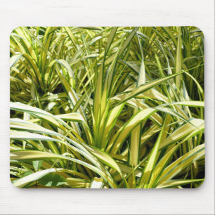 Indiens Lied Mousepad