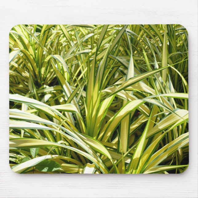 Indiens Lied Mousepad (Vorne)